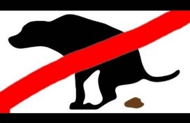 wmo leudal hond grond badkamer aanpassing blijft uit