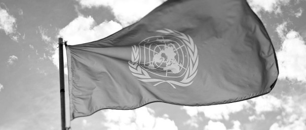 VN verdrag rechten mens handicap volledige tekst